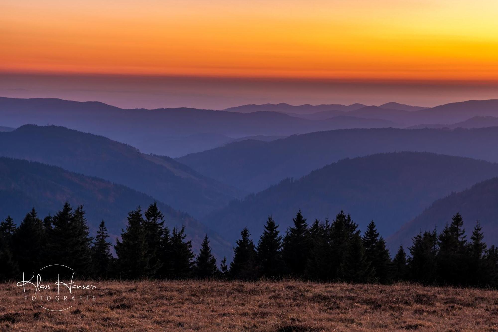 Fewo Sunneschii, Hoechenschwand, Dorf Am Himmel, Sauna Im Haus Appartement Buitenkant foto