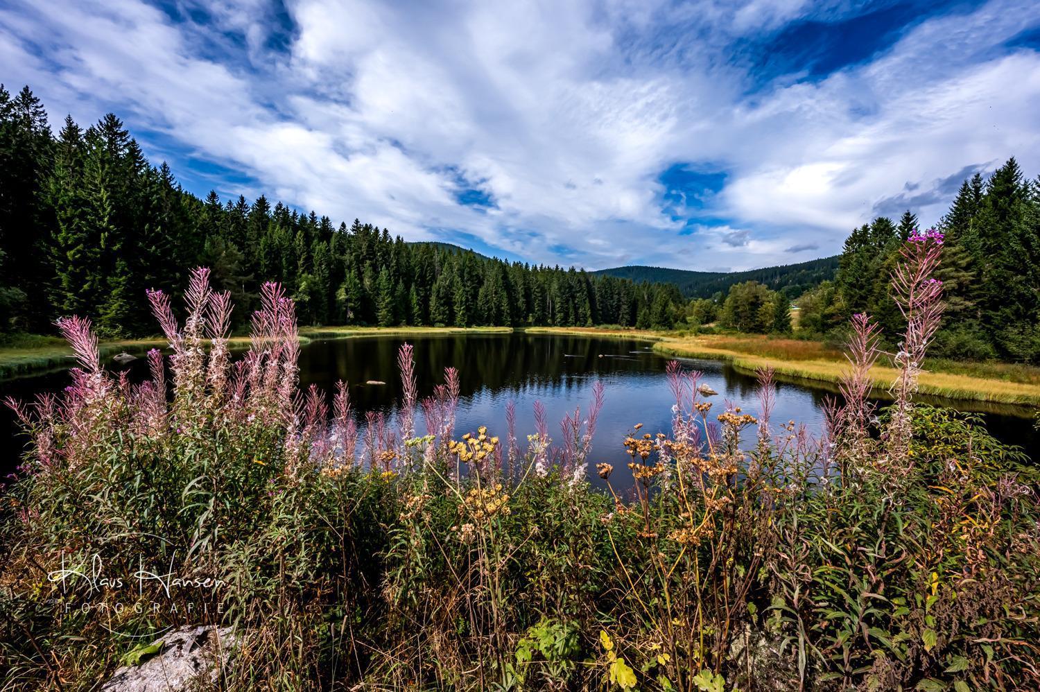 Fewo Sunneschii, Hoechenschwand, Dorf Am Himmel, Sauna Im Haus Appartement Buitenkant foto