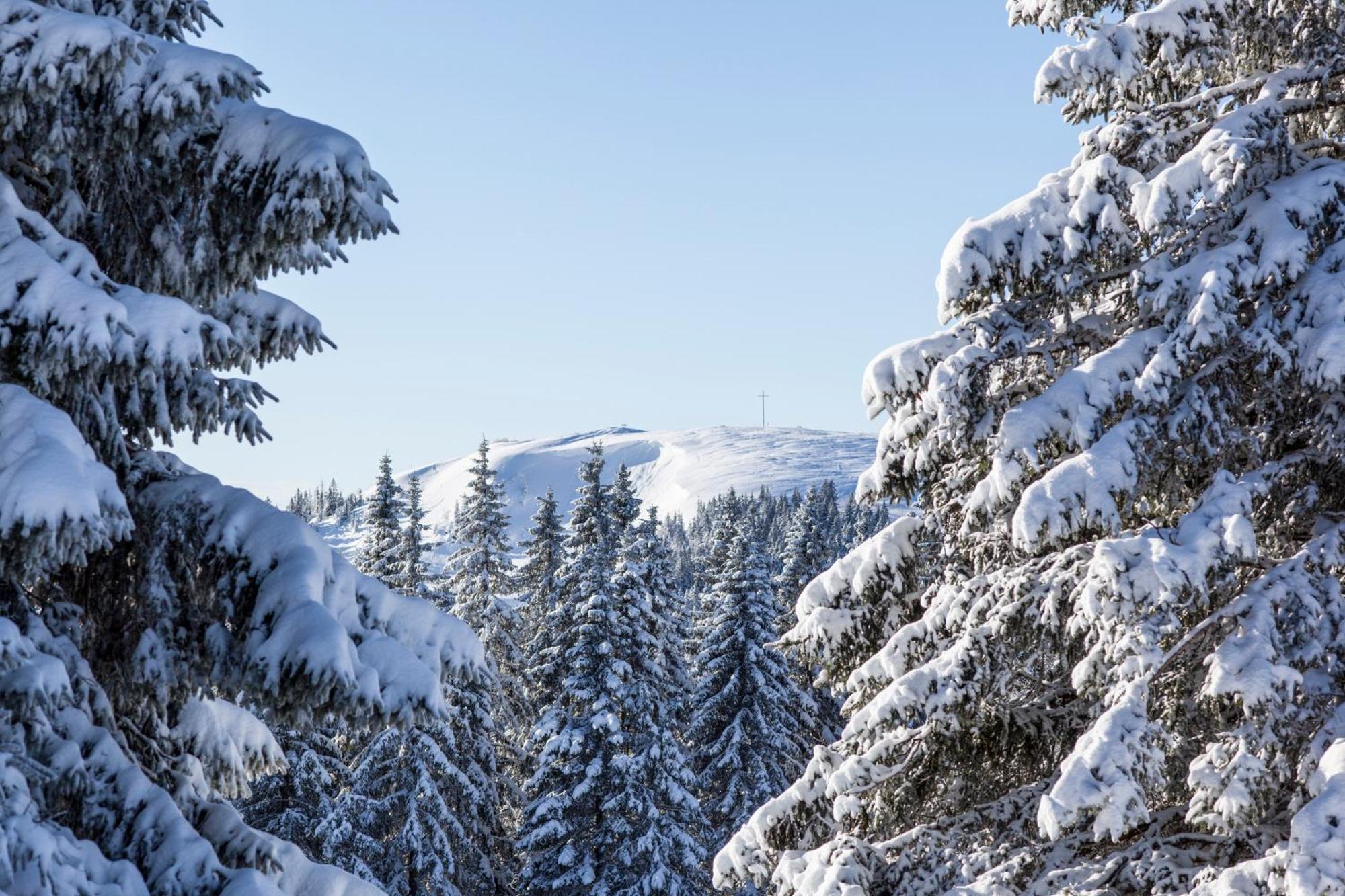 Fewo Sunneschii, Hoechenschwand, Dorf Am Himmel, Sauna Im Haus Appartement Buitenkant foto